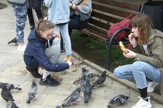  Grafika #11: WYCIECZKA DO KRAKOWA grafika