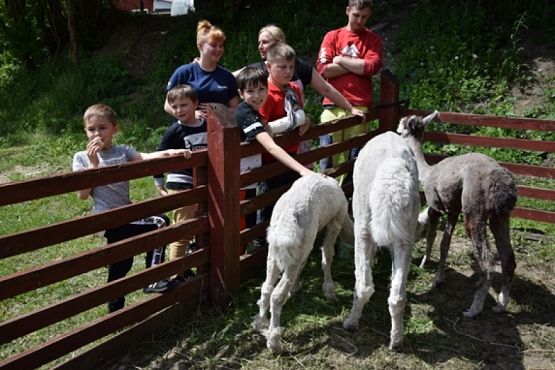  Grafika #28: Klasy pierwsze i drugie w Drzewinie grafika