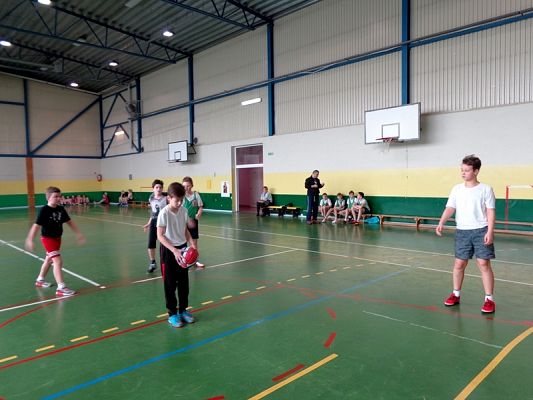  Grafika #2: SPARING KOSZYKARSKI grafika