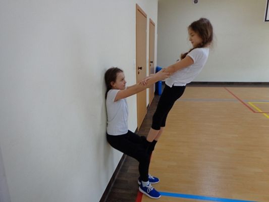  Grafika #7: GIMNASTYKA NA WF-IE grafika