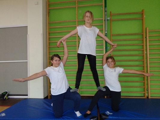  Grafika #14: GIMNASTYKA NA WF-IE grafika