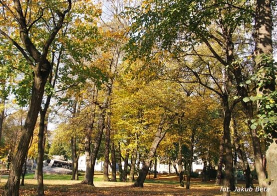  Grafika #12: "Obiektyw" na podium. grafika