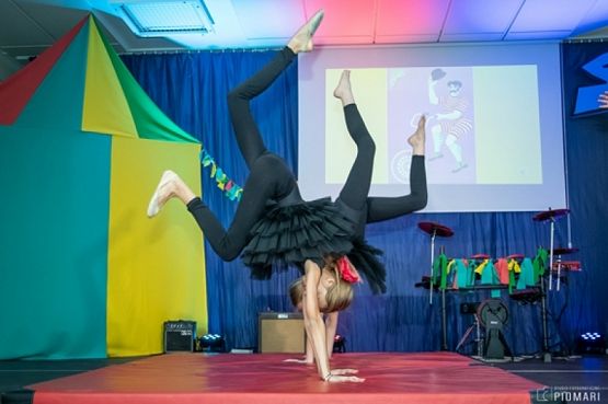  Grafika #12: START UP 2019 grafika