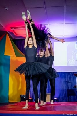  Grafika #14: START UP 2019 grafika