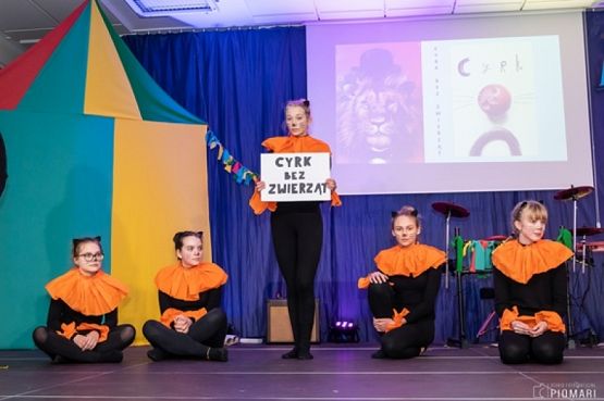  Grafika #119: START UP 2019 grafika