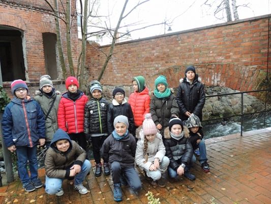  Grafika #2: Zwiedzanie Galerii na Wyspie grafika