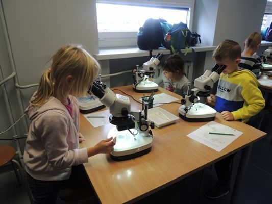  Grafika #1: Drugoklasiści w Oceanarium grafika