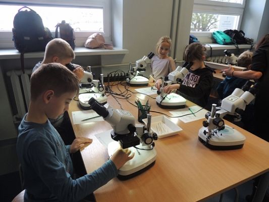  Grafika #2: Drugoklasiści w Oceanarium grafika