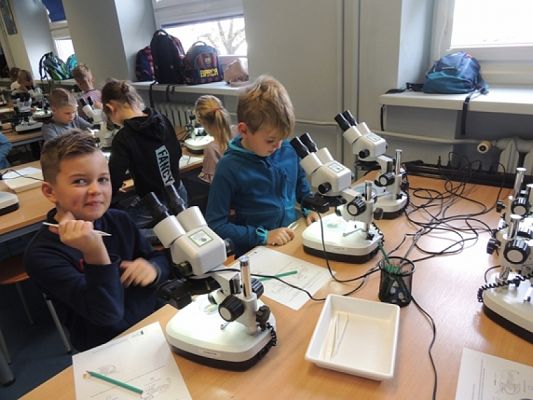  Grafika #3: Drugoklasiści w Oceanarium grafika