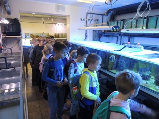  Grafika #4: Drugoklasiści w Oceanarium grafika