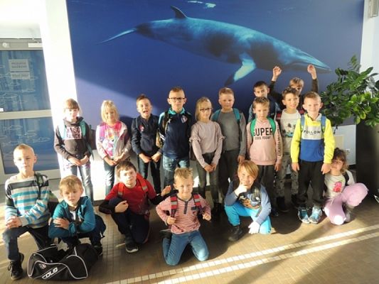  Grafika #5: Drugoklasiści w Oceanarium grafika