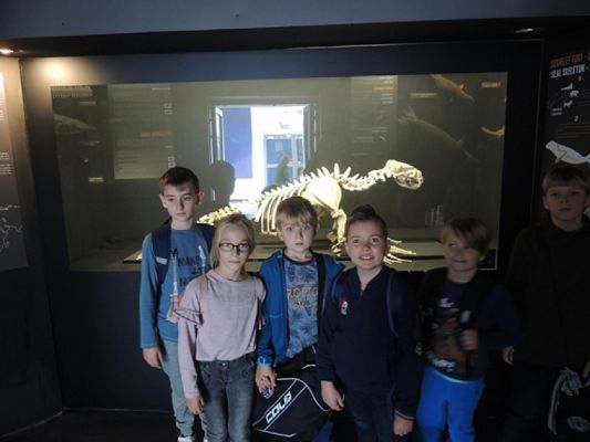  Grafika #6: Drugoklasiści w Oceanarium grafika