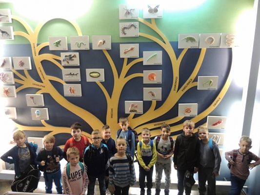  Grafika #7: Drugoklasiści w Oceanarium grafika