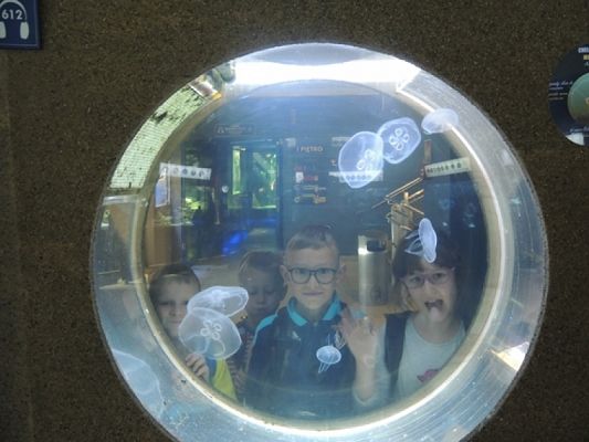  Grafika #8: Drugoklasiści w Oceanarium grafika