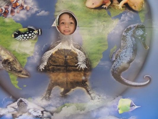  Grafika #9: Drugoklasiści w Oceanarium grafika