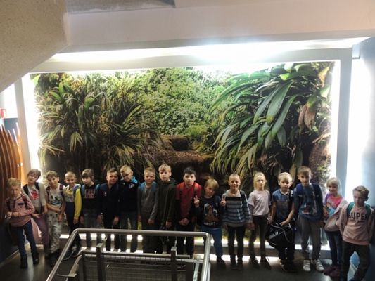  Grafika #10: Drugoklasiści w Oceanarium grafika