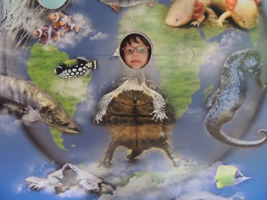  Grafika #11: Drugoklasiści w Oceanarium grafika