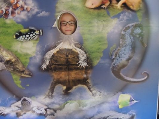  Grafika #12: Drugoklasiści w Oceanarium grafika