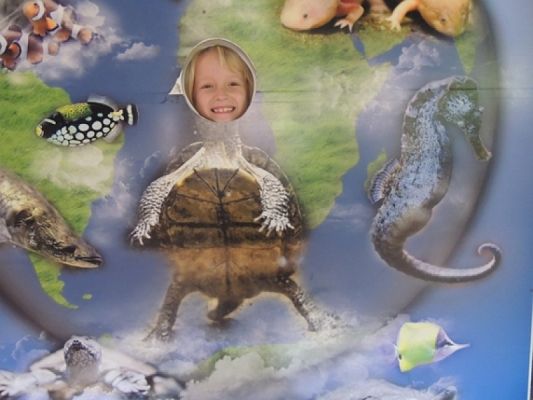  Grafika #13: Drugoklasiści w Oceanarium grafika