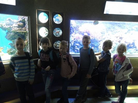  Grafika #14: Drugoklasiści w Oceanarium grafika