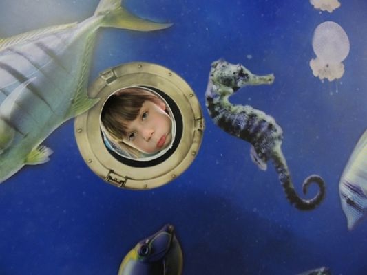  Grafika #15: Drugoklasiści w Oceanarium grafika