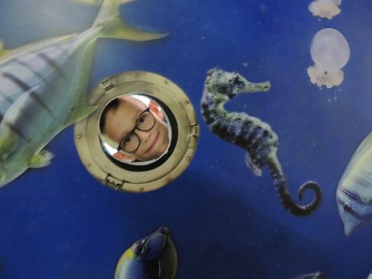  Grafika #16: Drugoklasiści w Oceanarium grafika