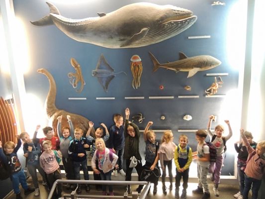  Grafika #17: Drugoklasiści w Oceanarium grafika