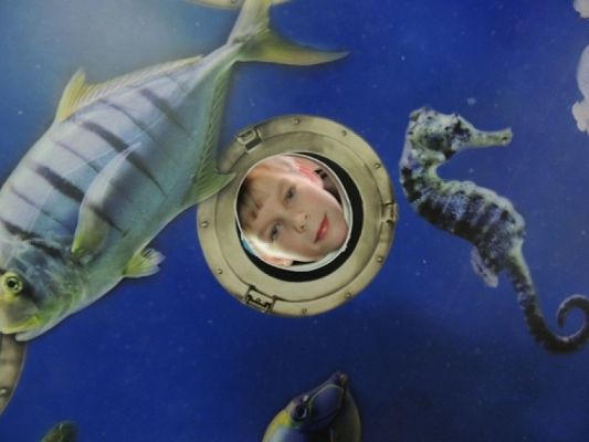  Grafika #18: Drugoklasiści w Oceanarium grafika