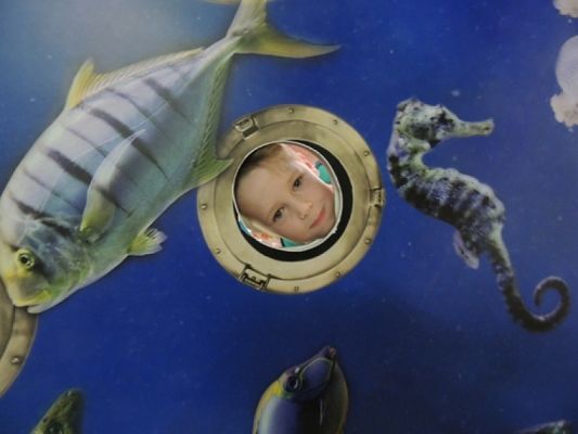  Grafika #20: Drugoklasiści w Oceanarium grafika