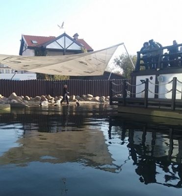  Grafika #4: Wycieczka klas 5 na Hel grafika