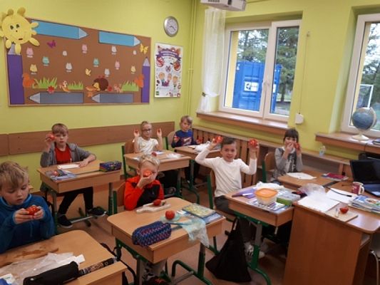  Grafika #1: Budowa pomidora, lekcja przyrody kl IIb grafika