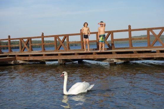  Grafika #10: ROWEREM NAD JEZIORO LUBOWIDZKIE grafika