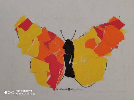  Grafika #2: WIOSENNE MOTYLE grafika