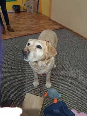  Grafika #8: Dzień Kobiet w klasie IV - fotorelacja grafika