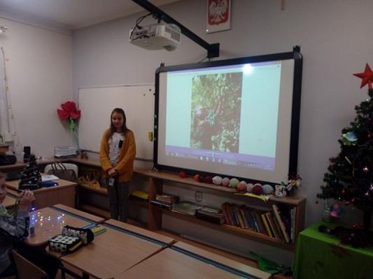  Grafika #6: Kl. 6b – z fotografią po angielsku grafika