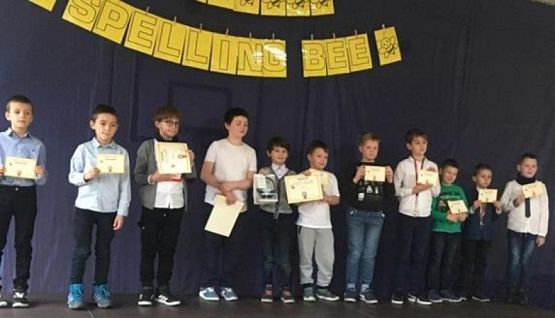  Grafika #1: Spelling Bee grafika