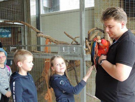  Grafika #13: Wycieczka kaszubska do Kartuz i Tuchlina grafika