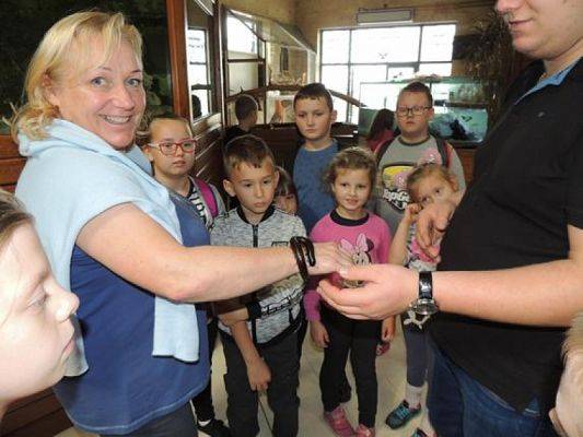  Grafika #18: Wycieczka kaszubska do Kartuz i Tuchlina grafika