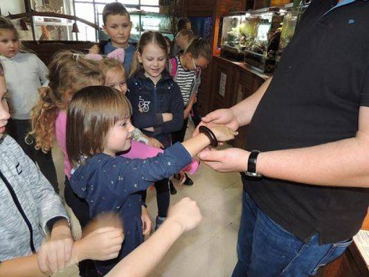  Grafika #19: Wycieczka kaszubska do Kartuz i Tuchlina grafika