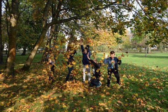  Grafika #14: Wycieczka kaszubska do Wejherowa grafika