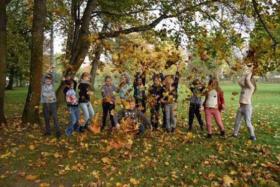  Grafika #23: Wycieczka kaszubska do Wejherowa grafika