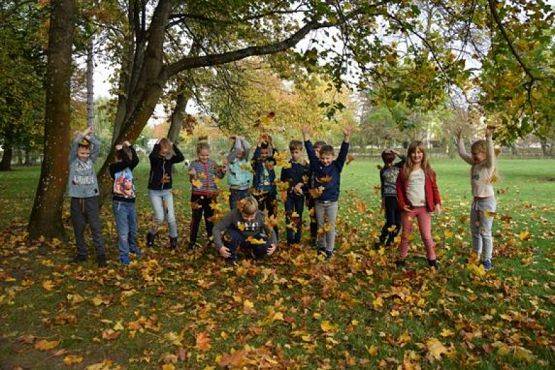  Grafika #24: Wycieczka kaszubska do Wejherowa grafika