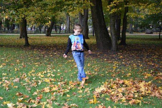  Grafika #26: Wycieczka kaszubska do Wejherowa grafika