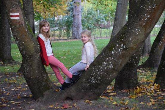  Grafika #27: Wycieczka kaszubska do Wejherowa grafika