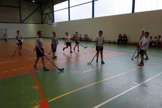  Grafika #2: SPARING UNIHOKEJA grafika