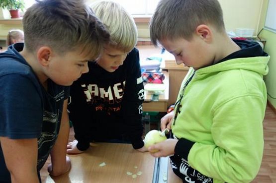  Grafika #7: DZIEŃ CHŁOPAKA W KLASIE 5 B grafika