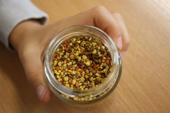  Grafika #4: Spotkanie z pszczelarzem grafika