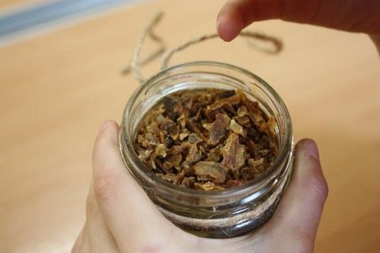  Grafika #6: Spotkanie z pszczelarzem grafika