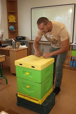  Grafika #7: Spotkanie z pszczelarzem grafika