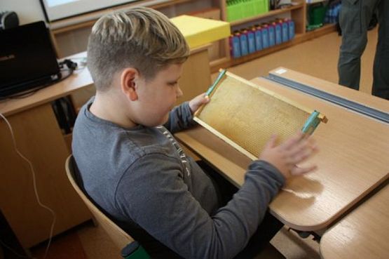  Grafika #13: Spotkanie z pszczelarzem grafika